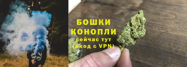 сатива Бородино