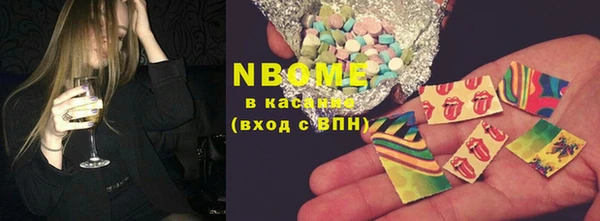 сатива Бородино