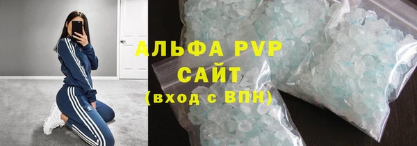 сатива Бородино