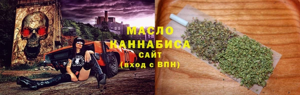 сатива Бородино
