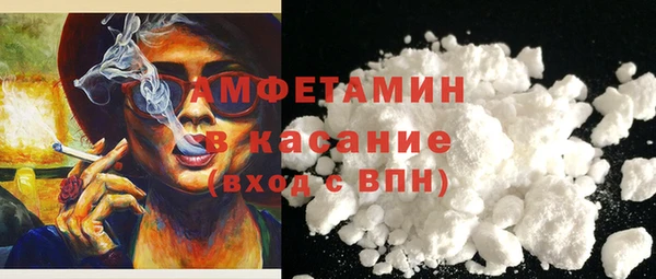 сатива Бородино