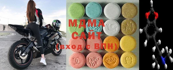 сатива Бородино