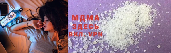 сатива Бородино