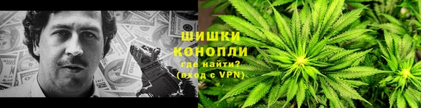 сатива Бородино