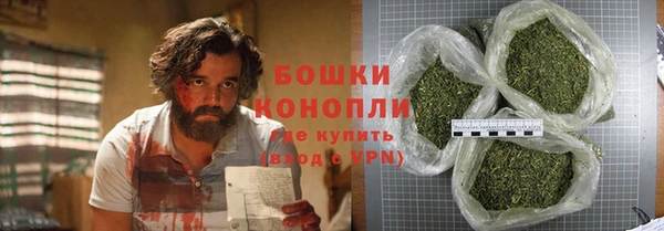 сатива Бородино