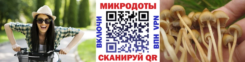 Галлюциногенные грибы Cubensis Сочи